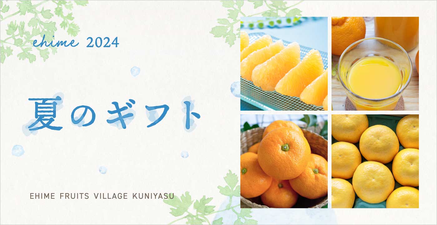 2024夏ギフト