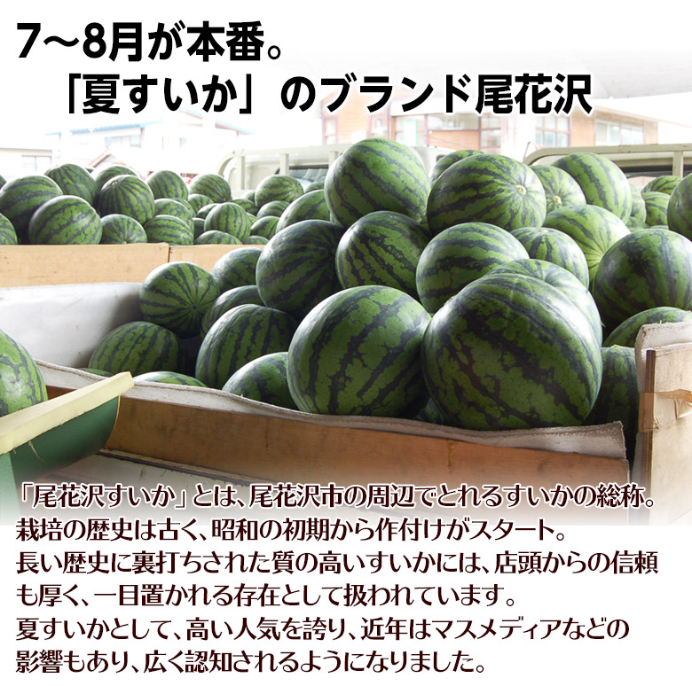 尾花沢すいかとは