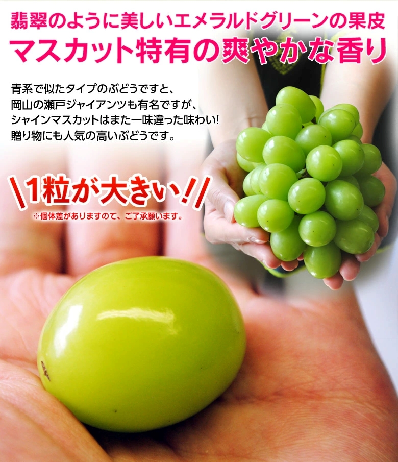 大粒