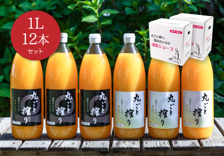 1L×12本