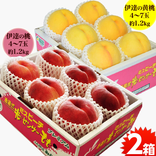 黄桃白桃セットイメージ