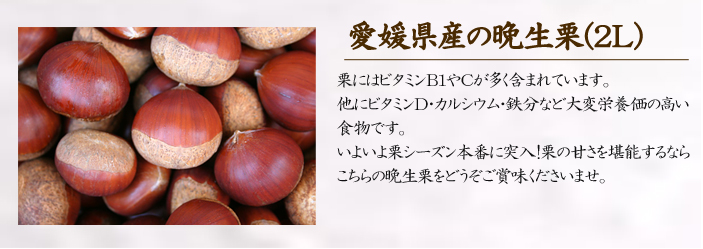 説明