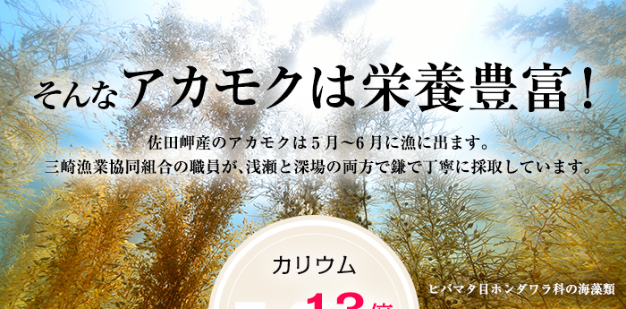 栄養素１
