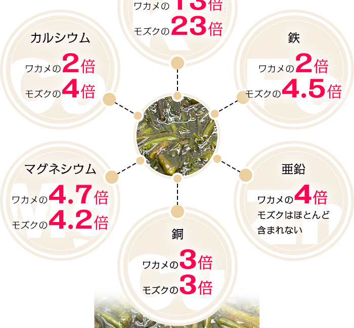 栄養素２