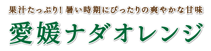 タイトル