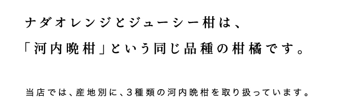 説明