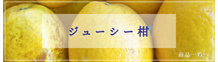 ジューシー柑商品一覧
