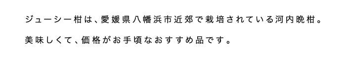 ジューシー柑説明