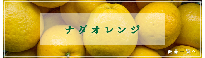 ナダオレンジ商品一覧