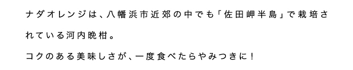 ナダオレンジ説明