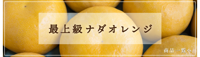 限定ナダオレンジ商品一覧