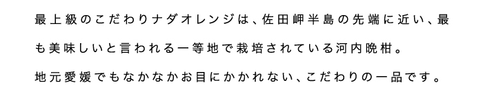 限定ナダオレンジ説明