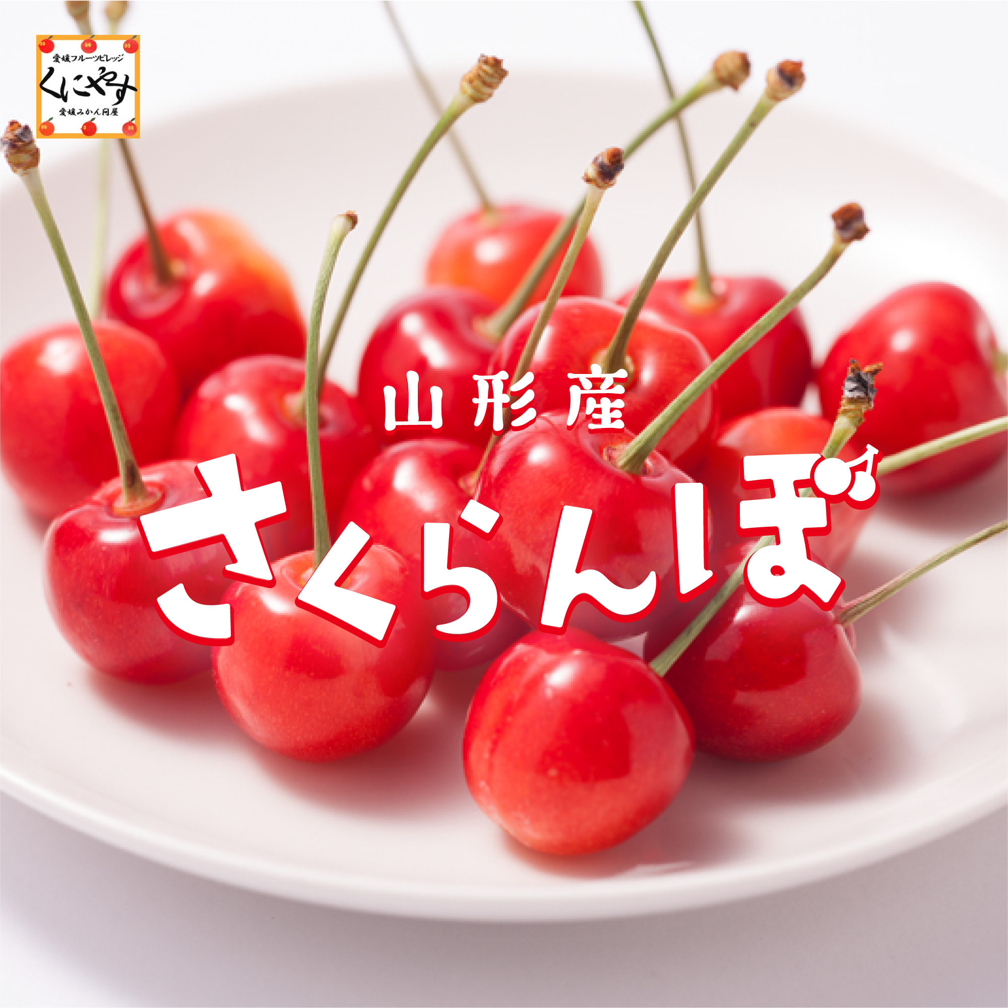 山形産さくらんぼ