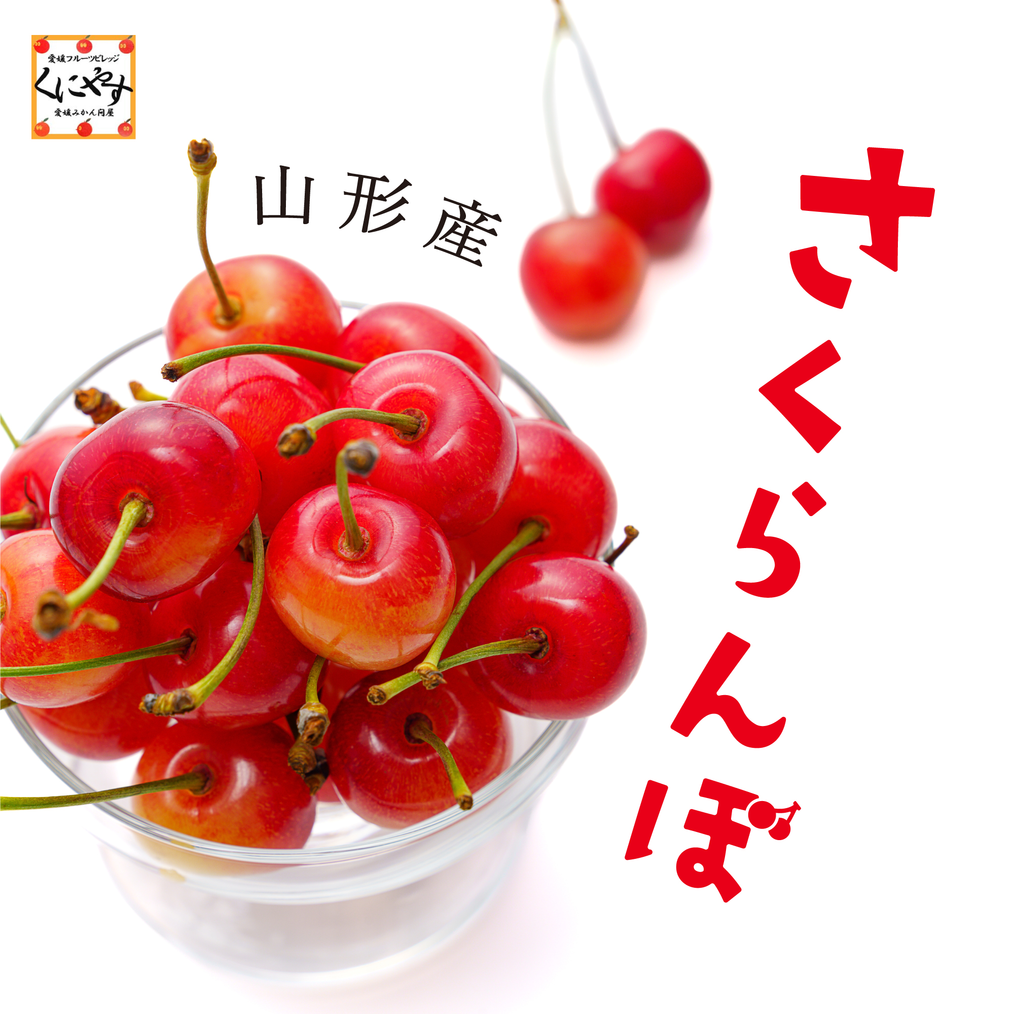 サムネ2