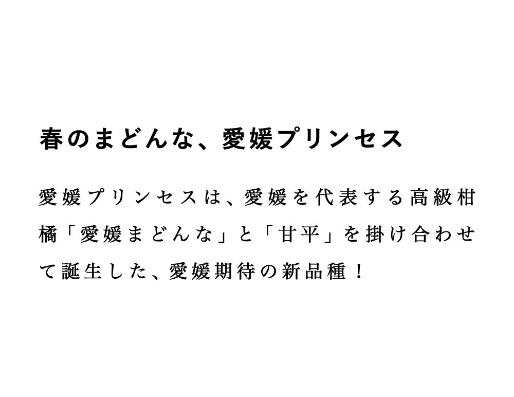 説明