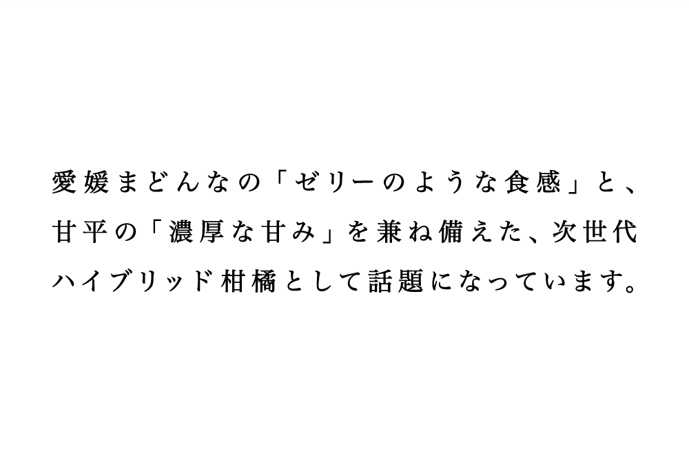 説明