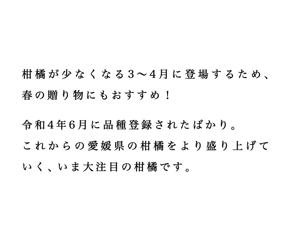 説明