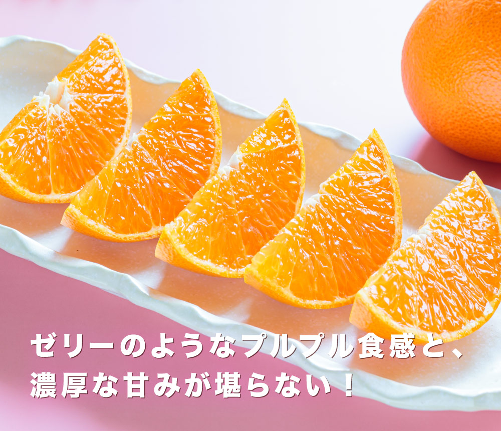 スマイルカット画像