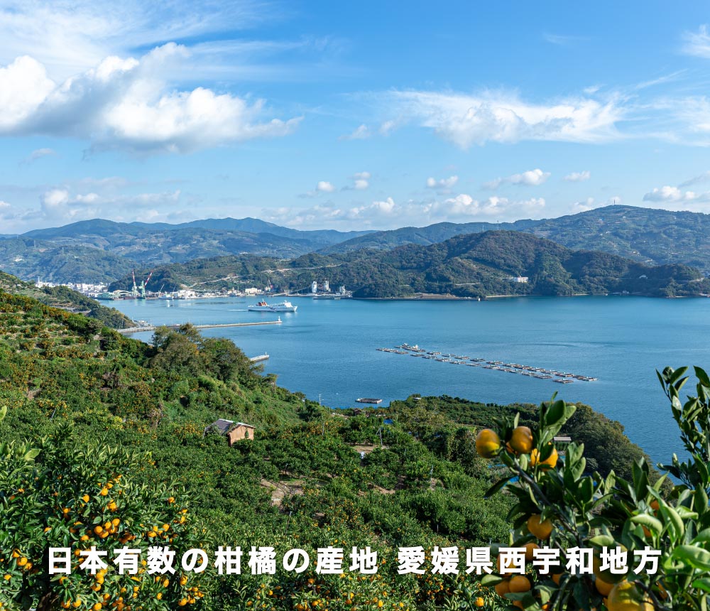産地