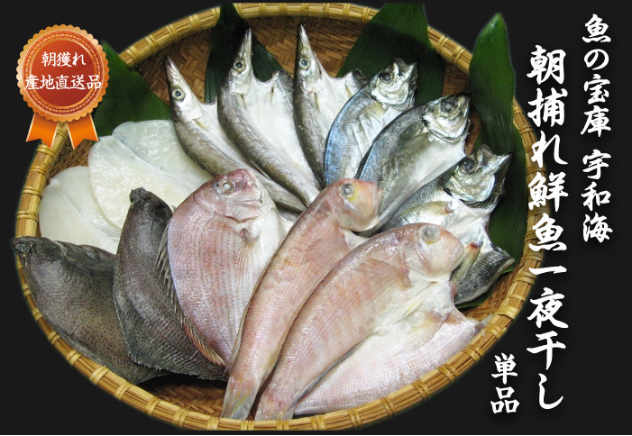 一夜干しイメージ
