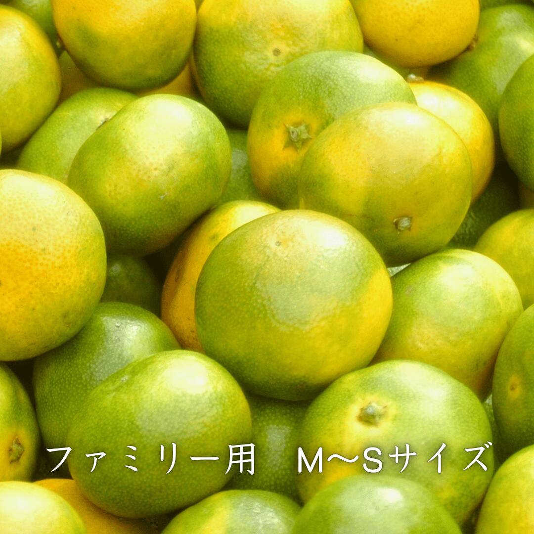 ファミリー用イメージ