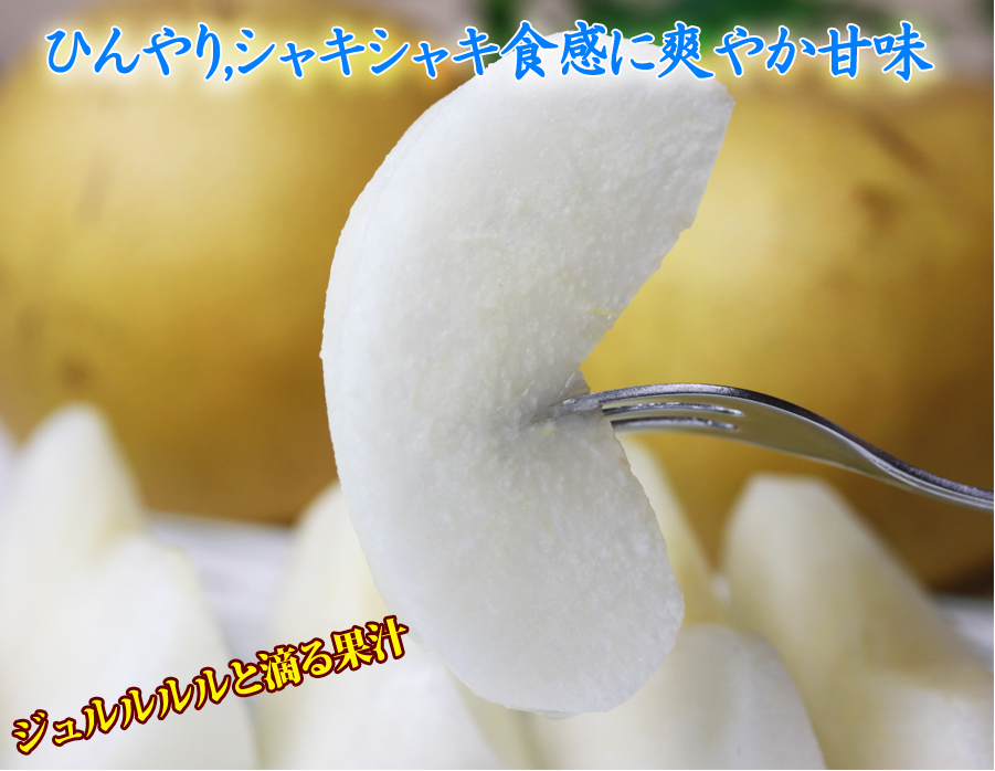 栄養満点