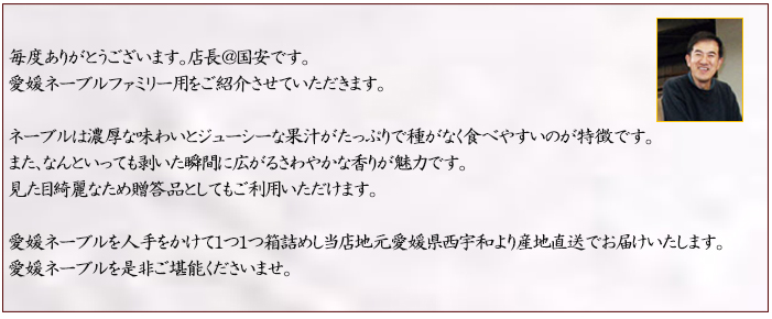 説明