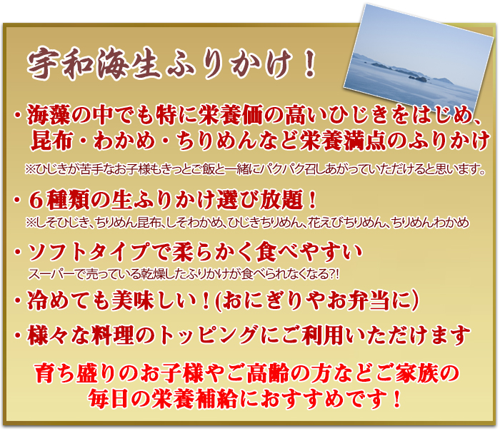説明