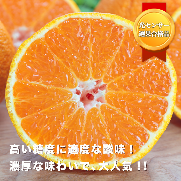 デコくん画像