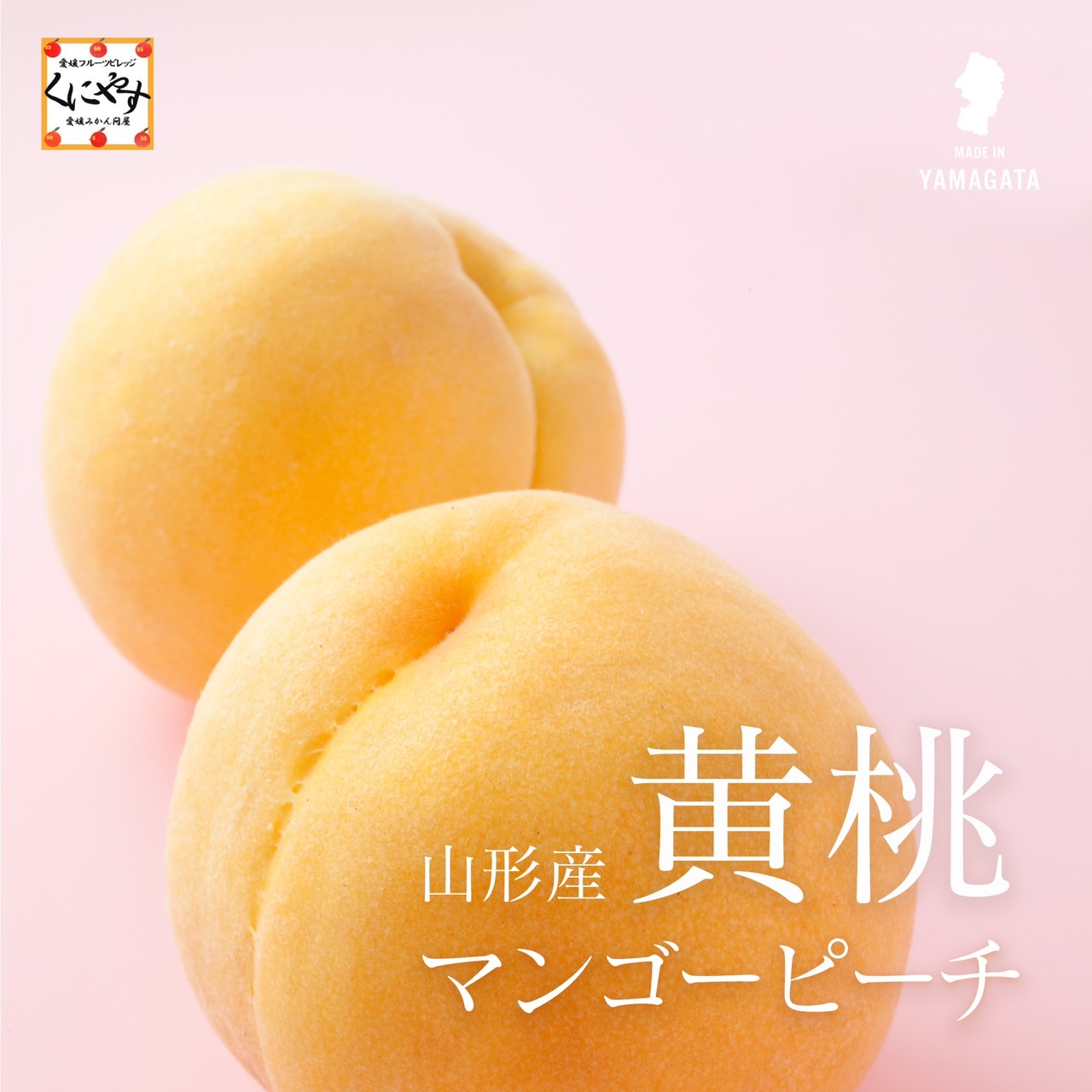 商品イメージ