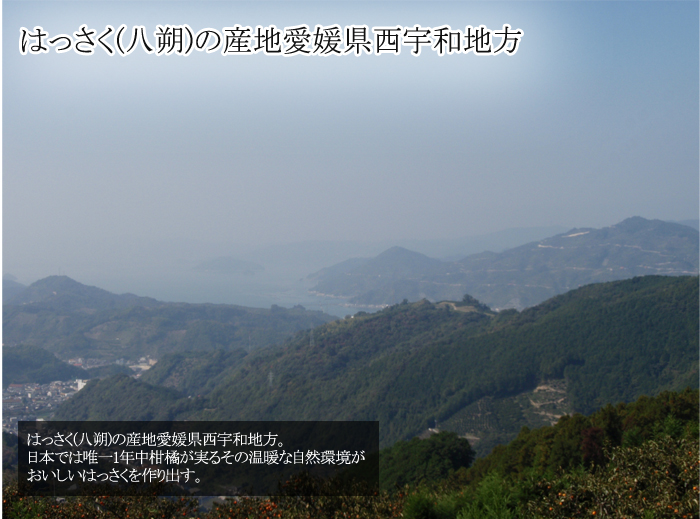 産地