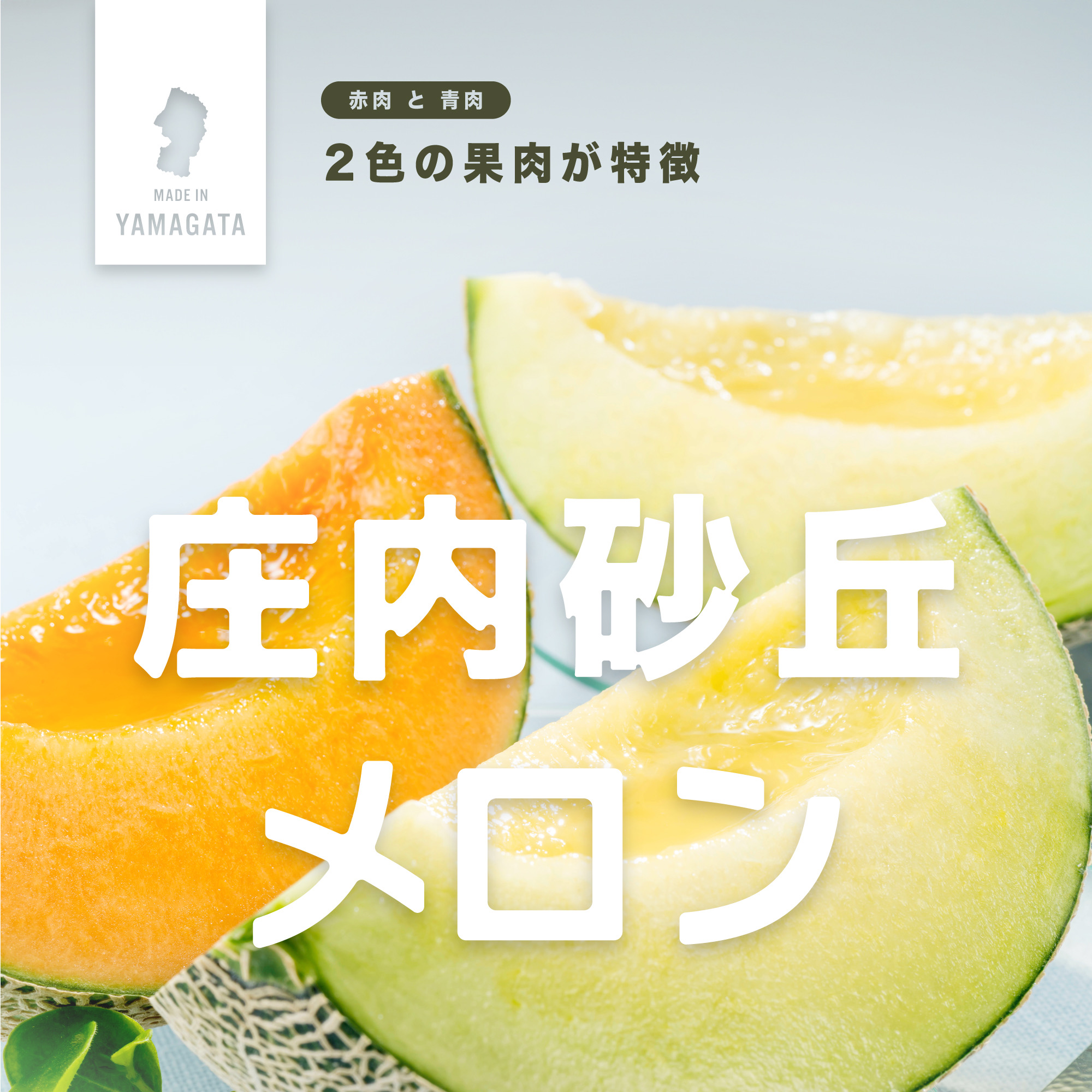 庄内砂丘メロン