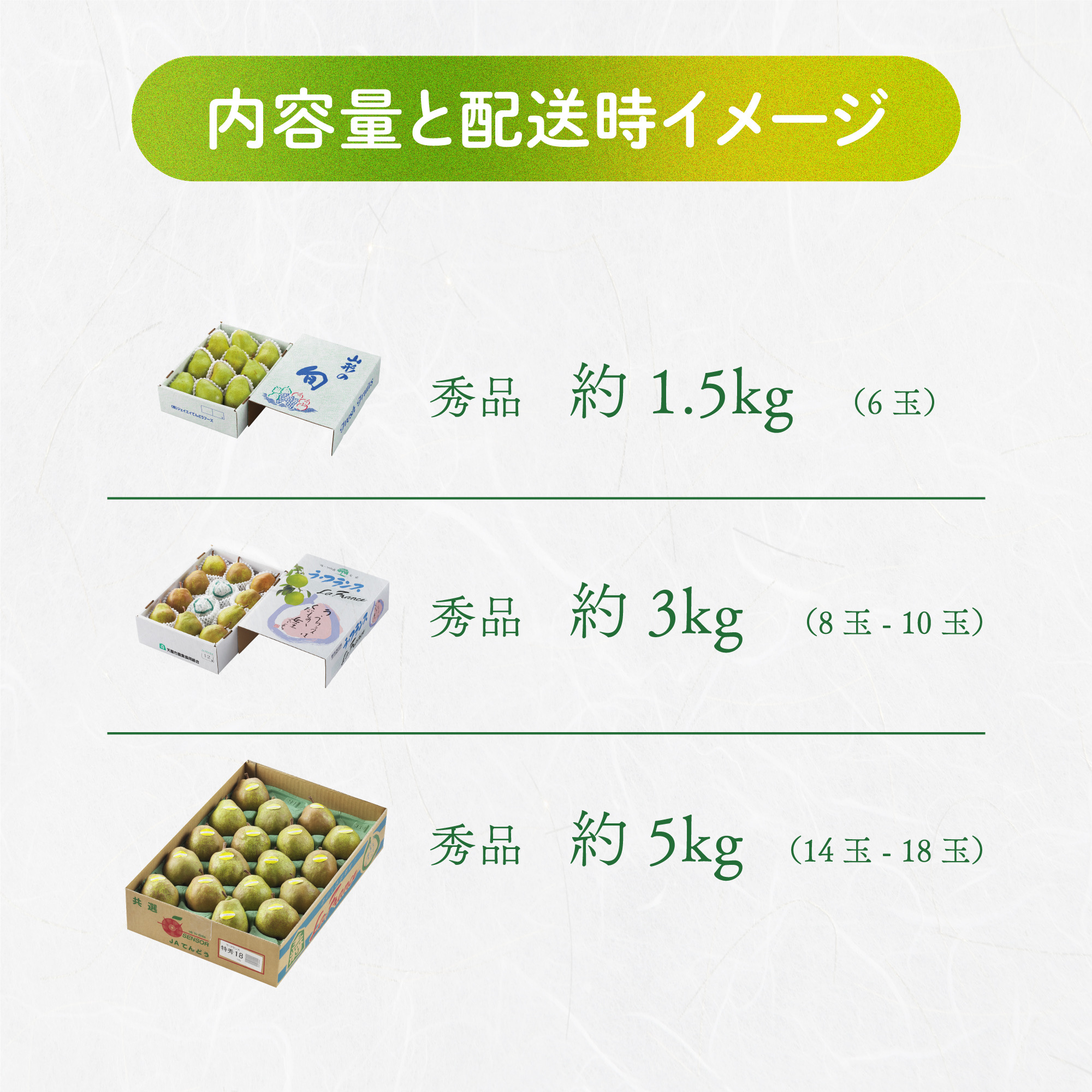 箱