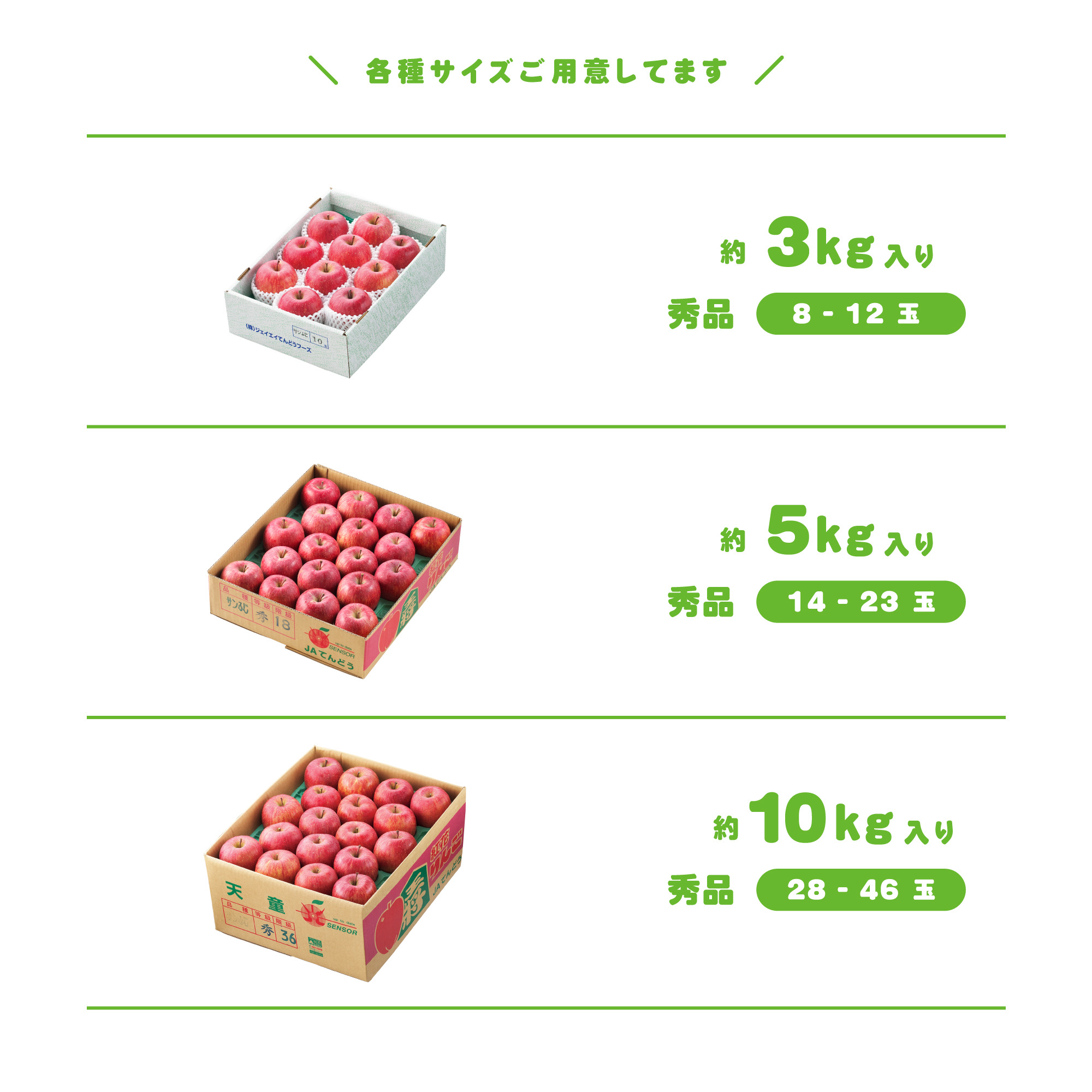 商品ラインナップ