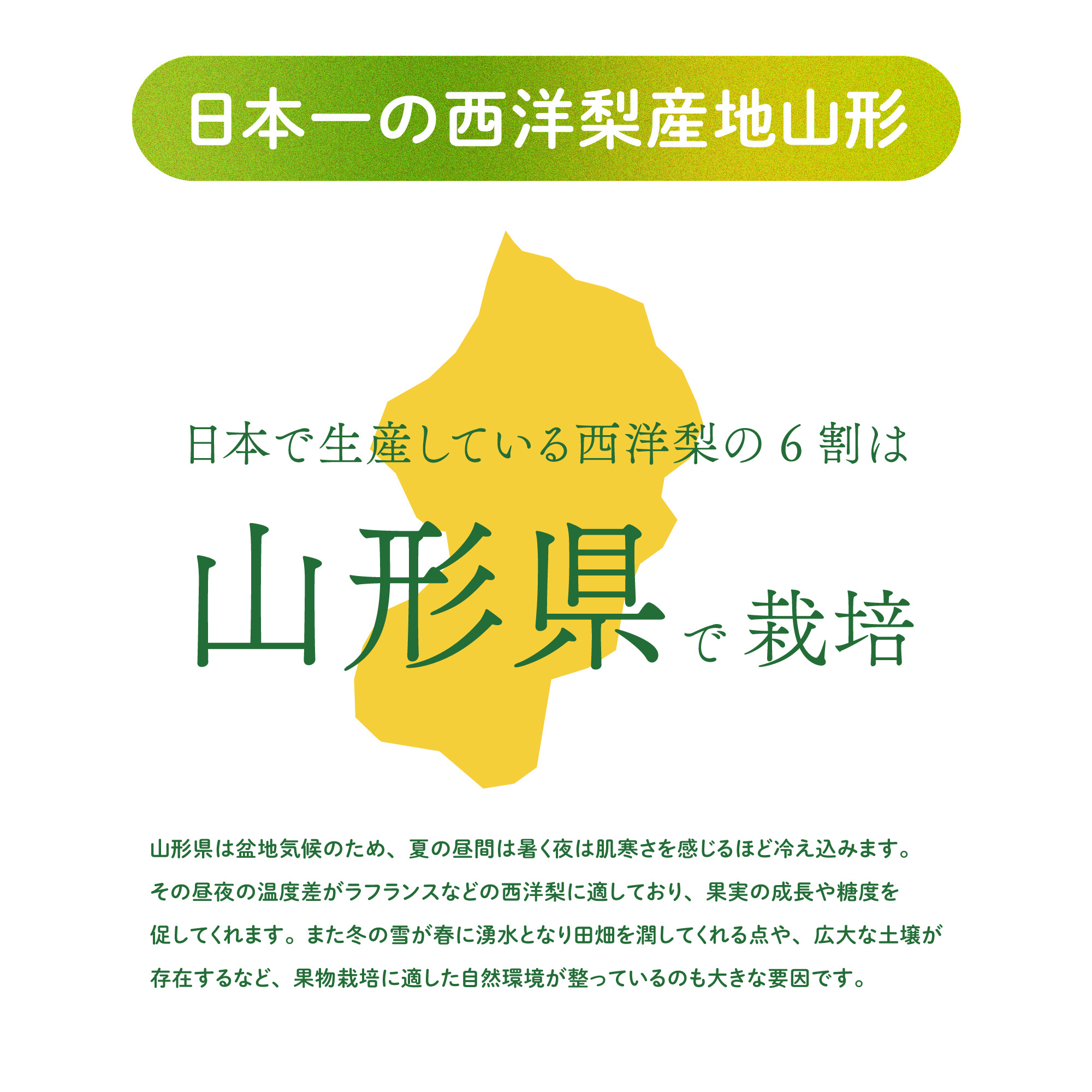 山形で栽培