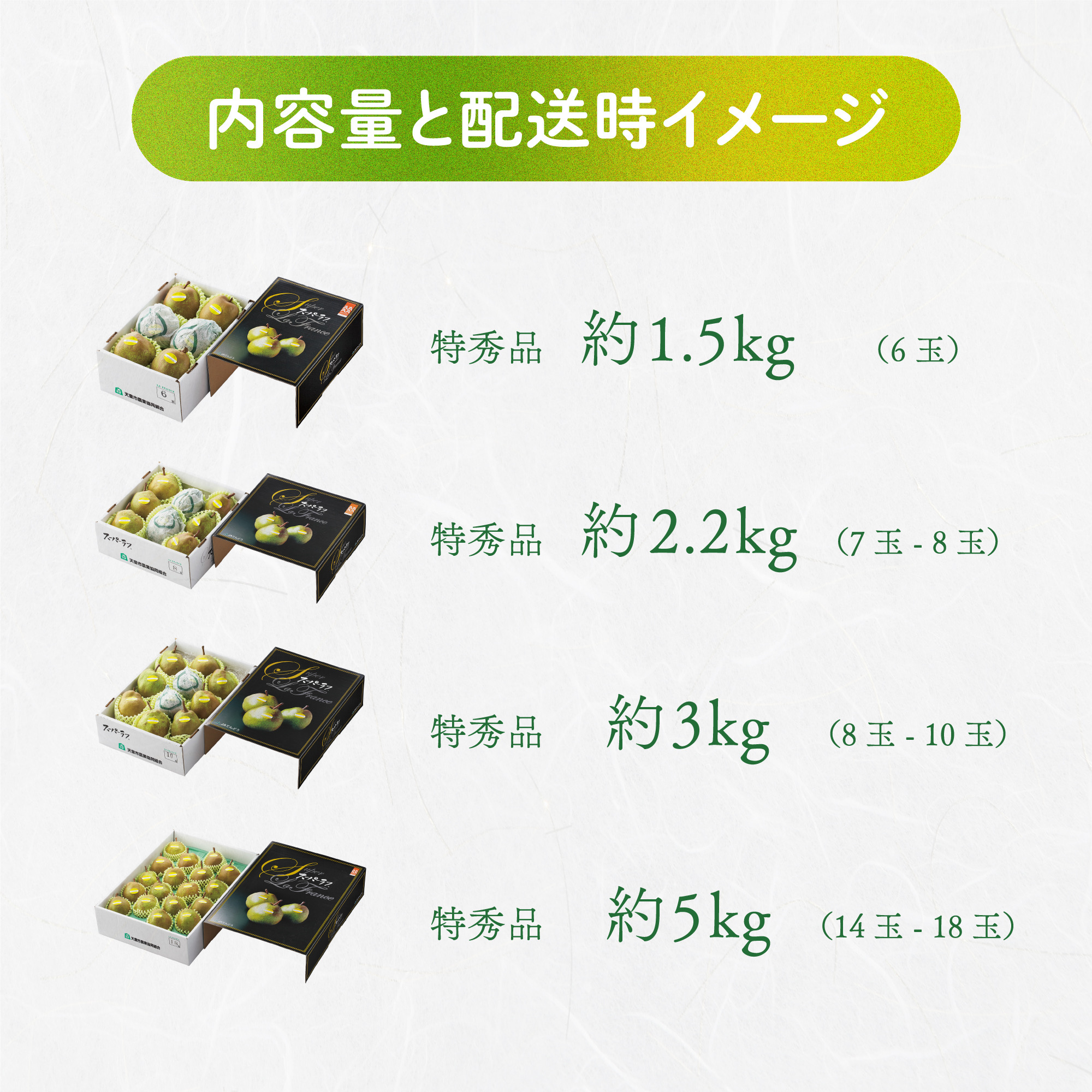 ラインナップ