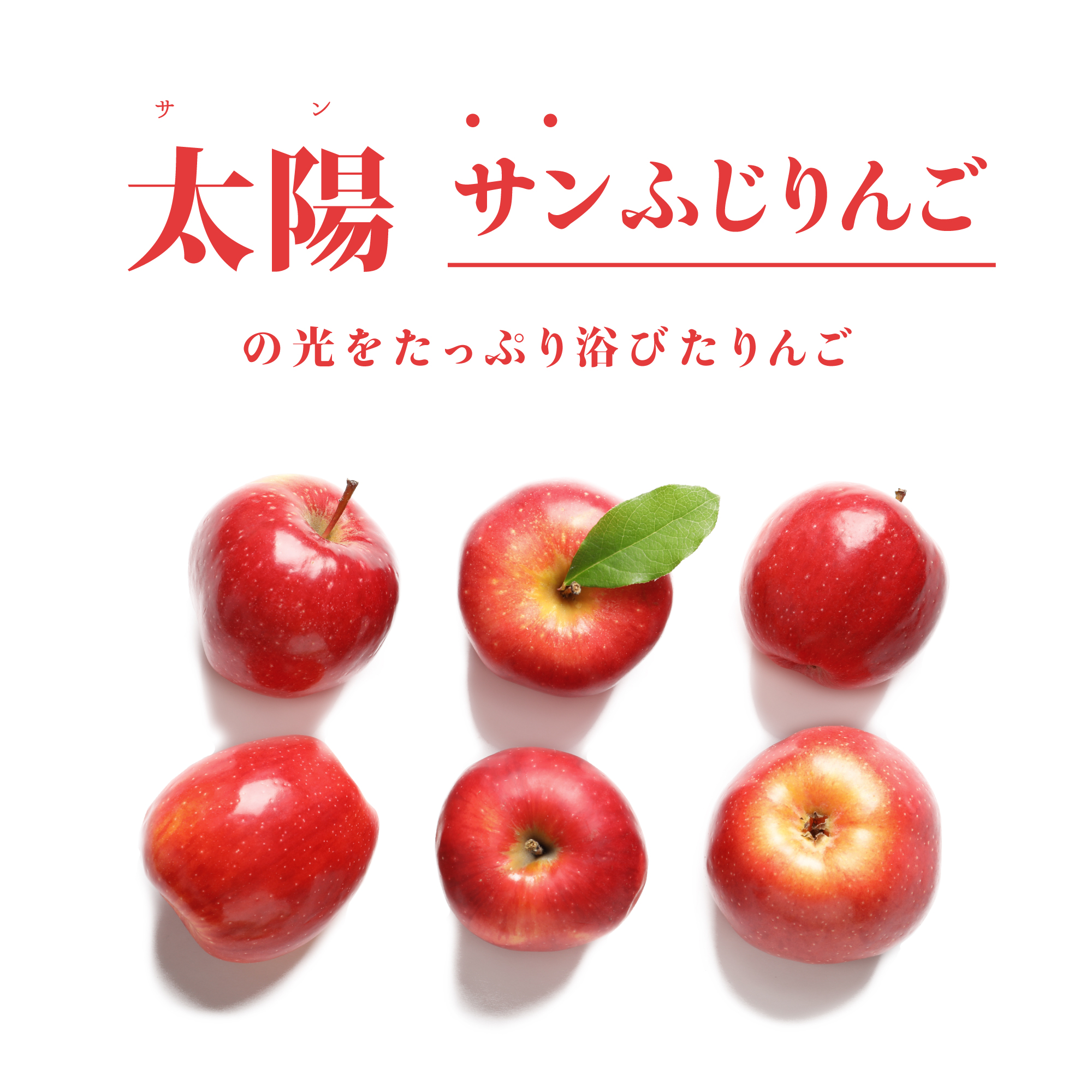 太陽