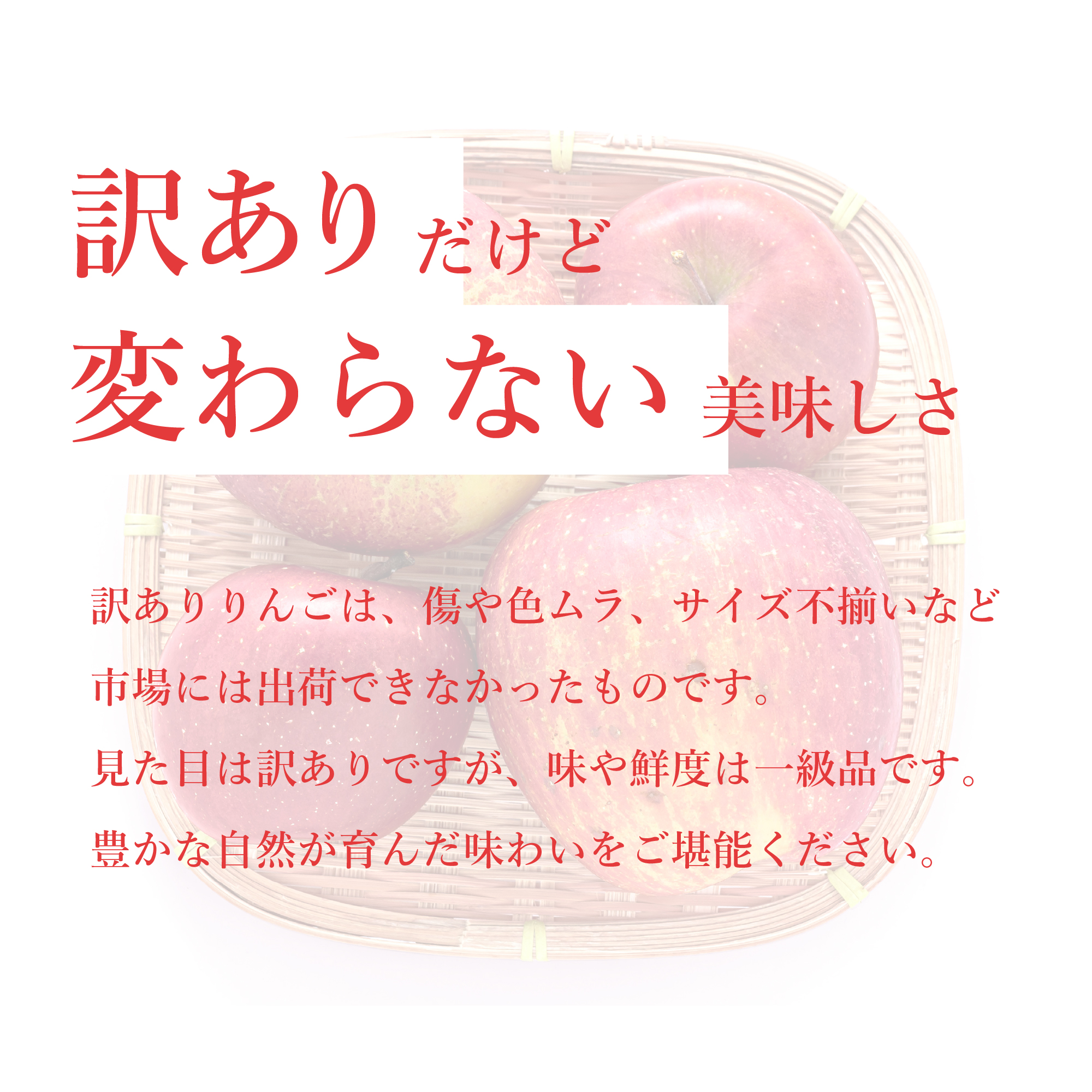 訳あり品