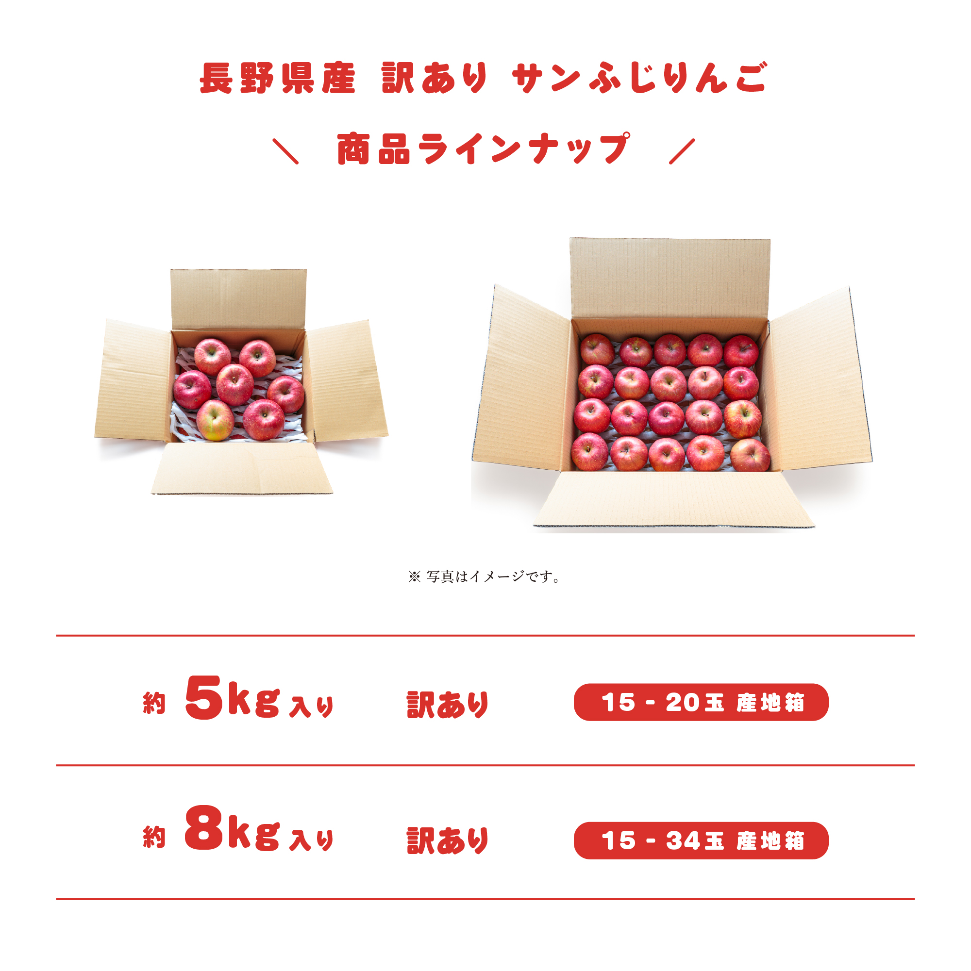 商品ラインナップ
