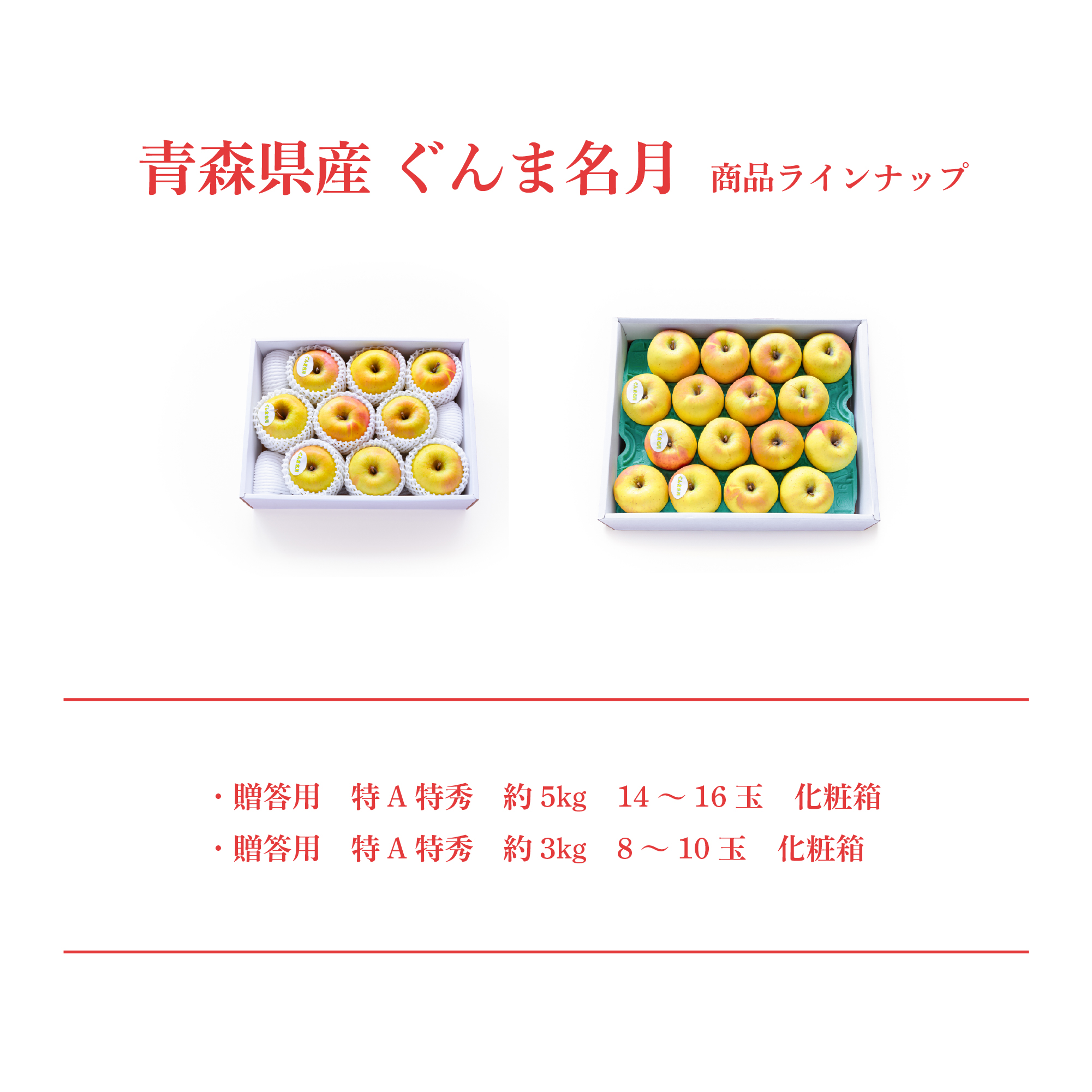 商品ラインナップ