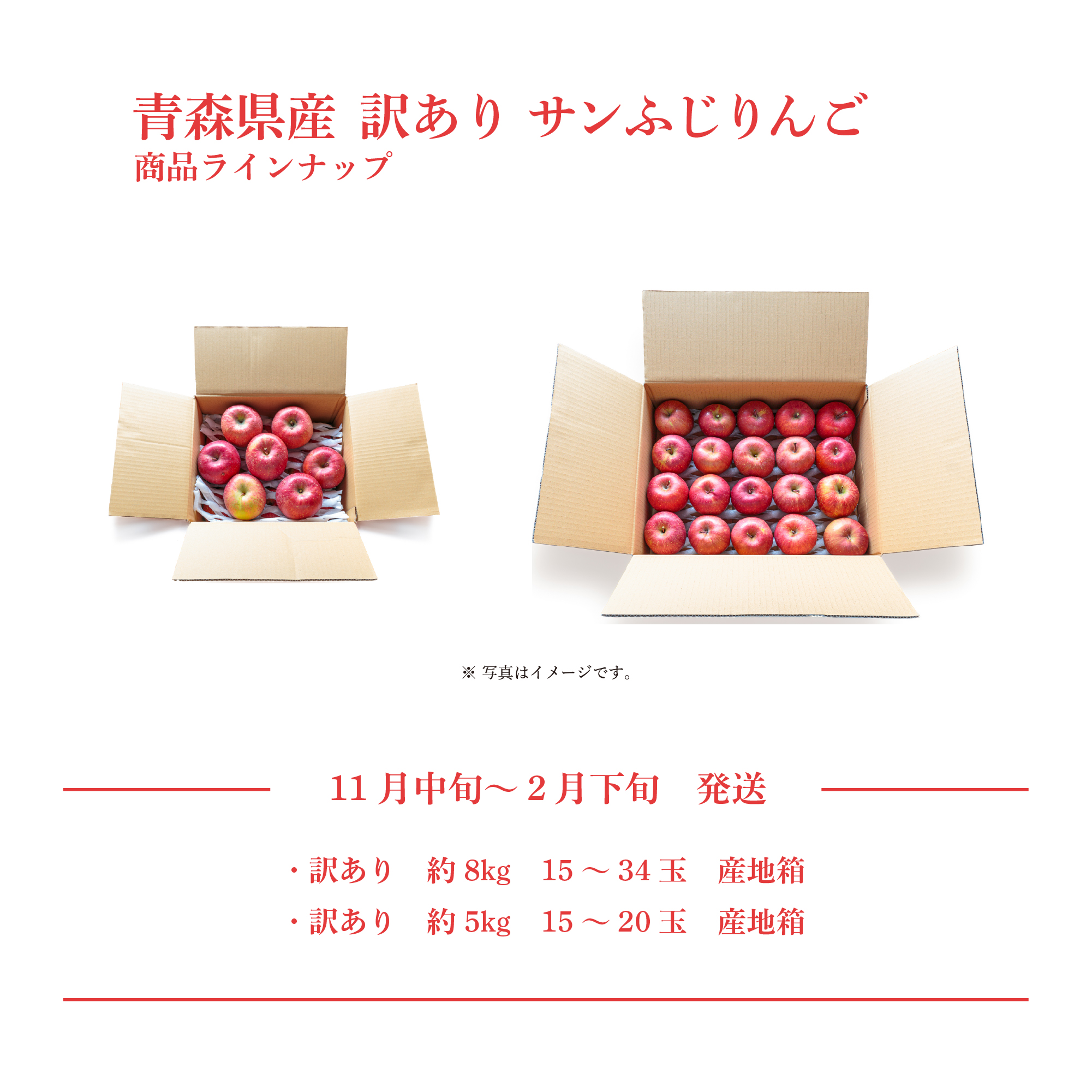 商品ラインナップ