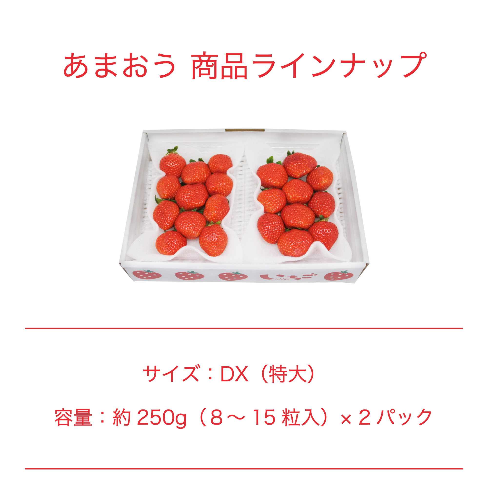 梱包イメージ
