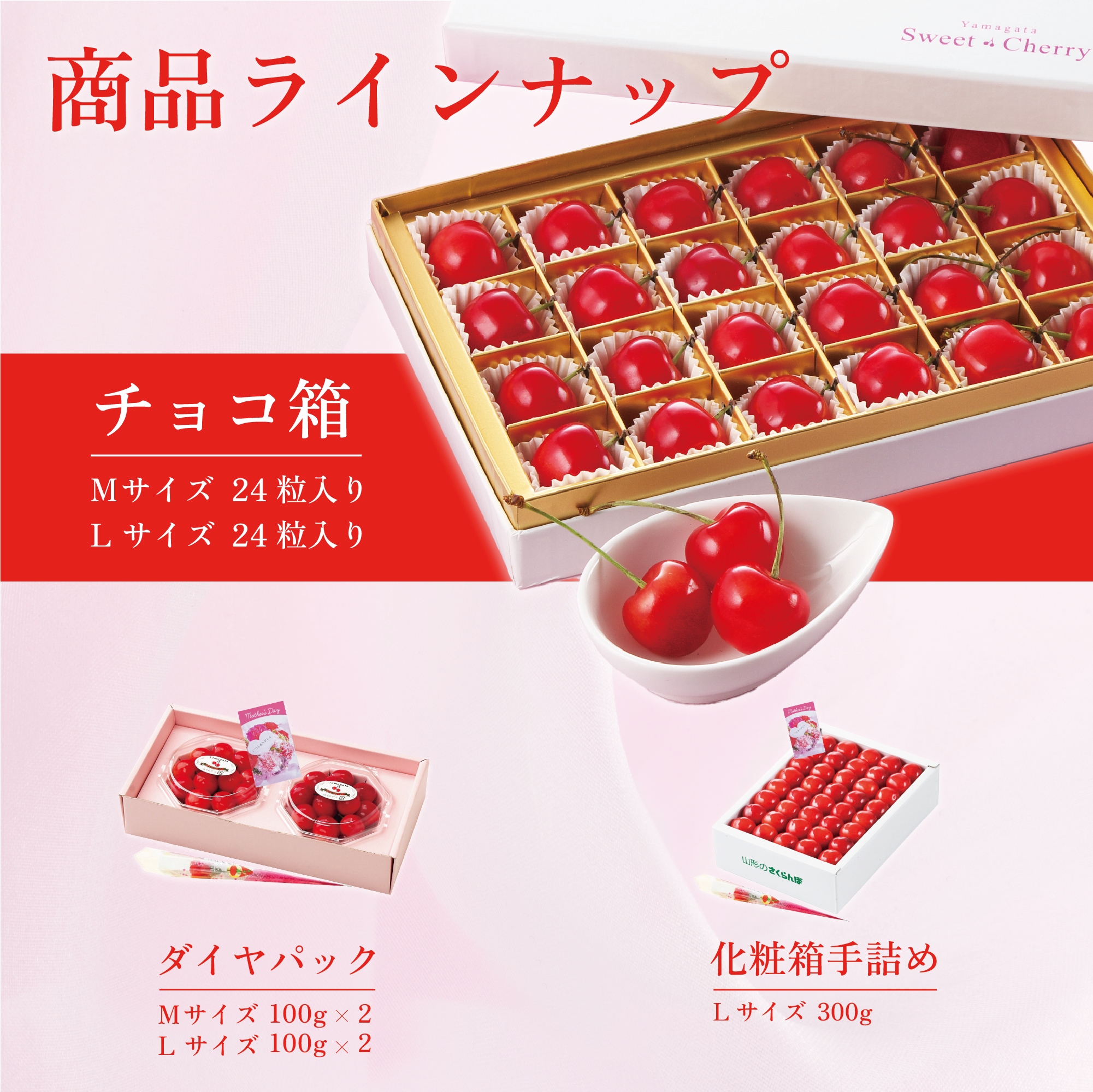 商品ラインナップ