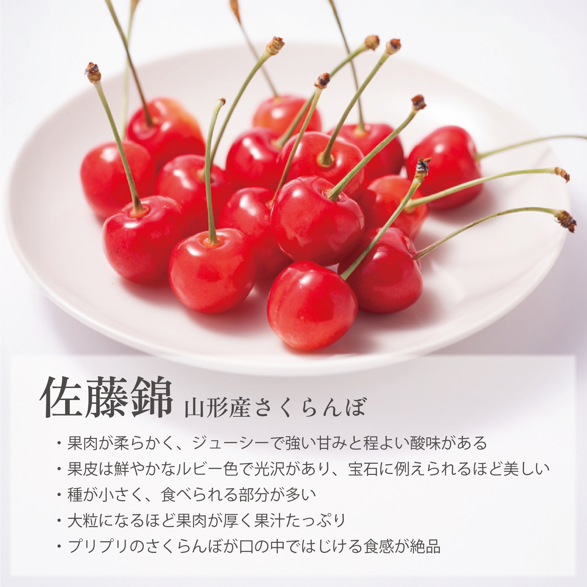 佐藤錦の特徴
