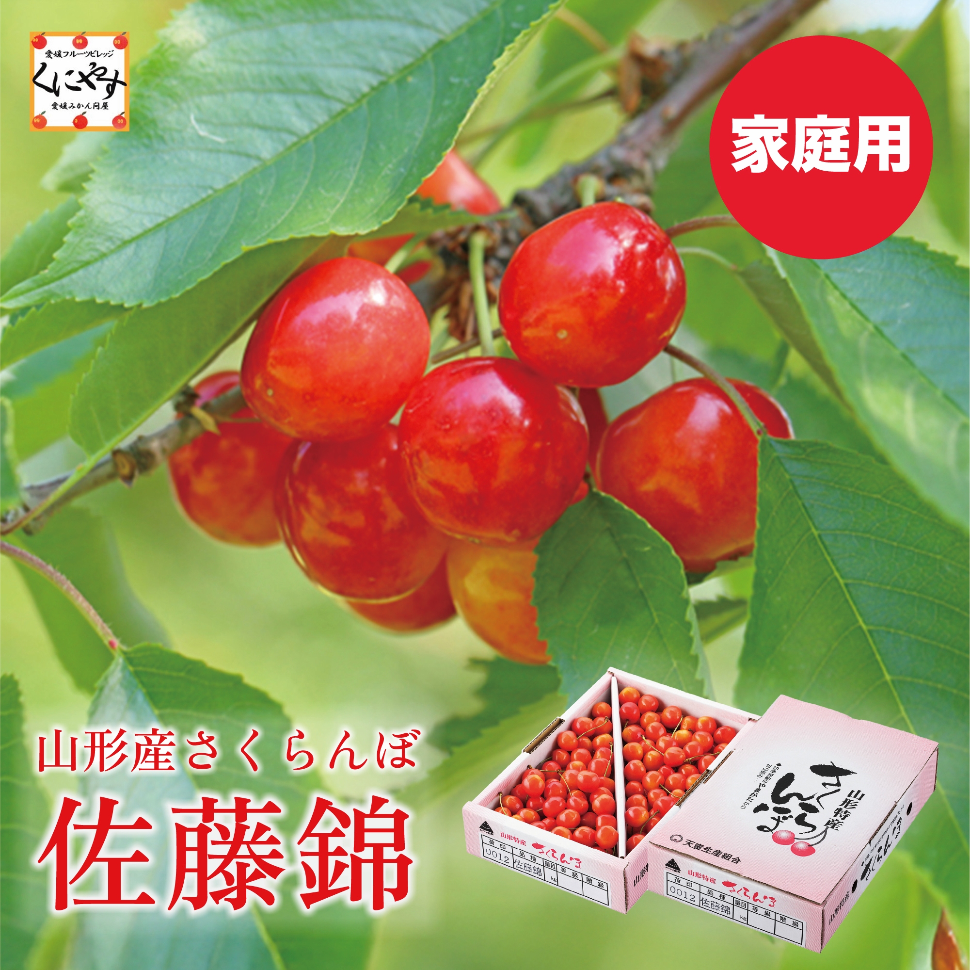 山形産佐藤錦家庭用1kg