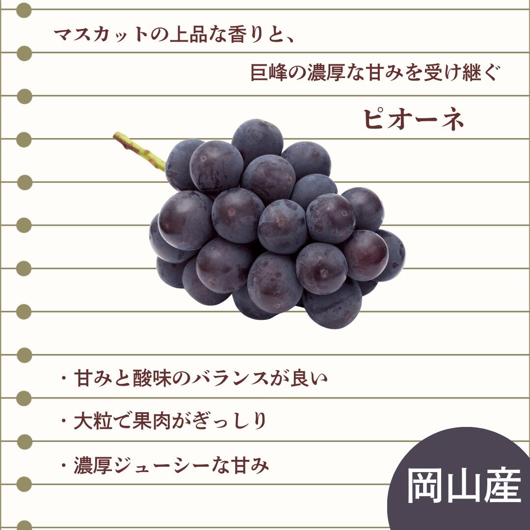 ピオーネの特徴1