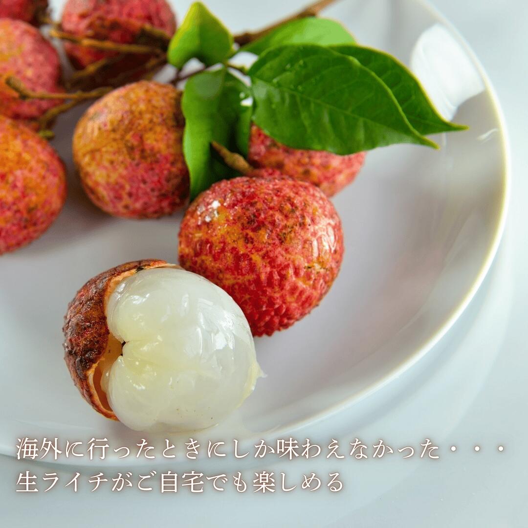 生ライチ