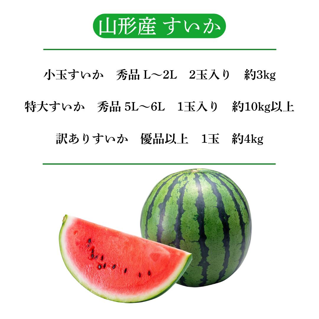 商品ラインナップ