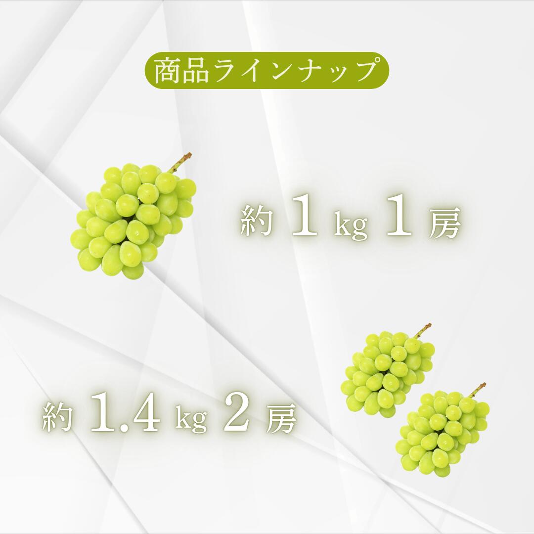 商品ラインナップ