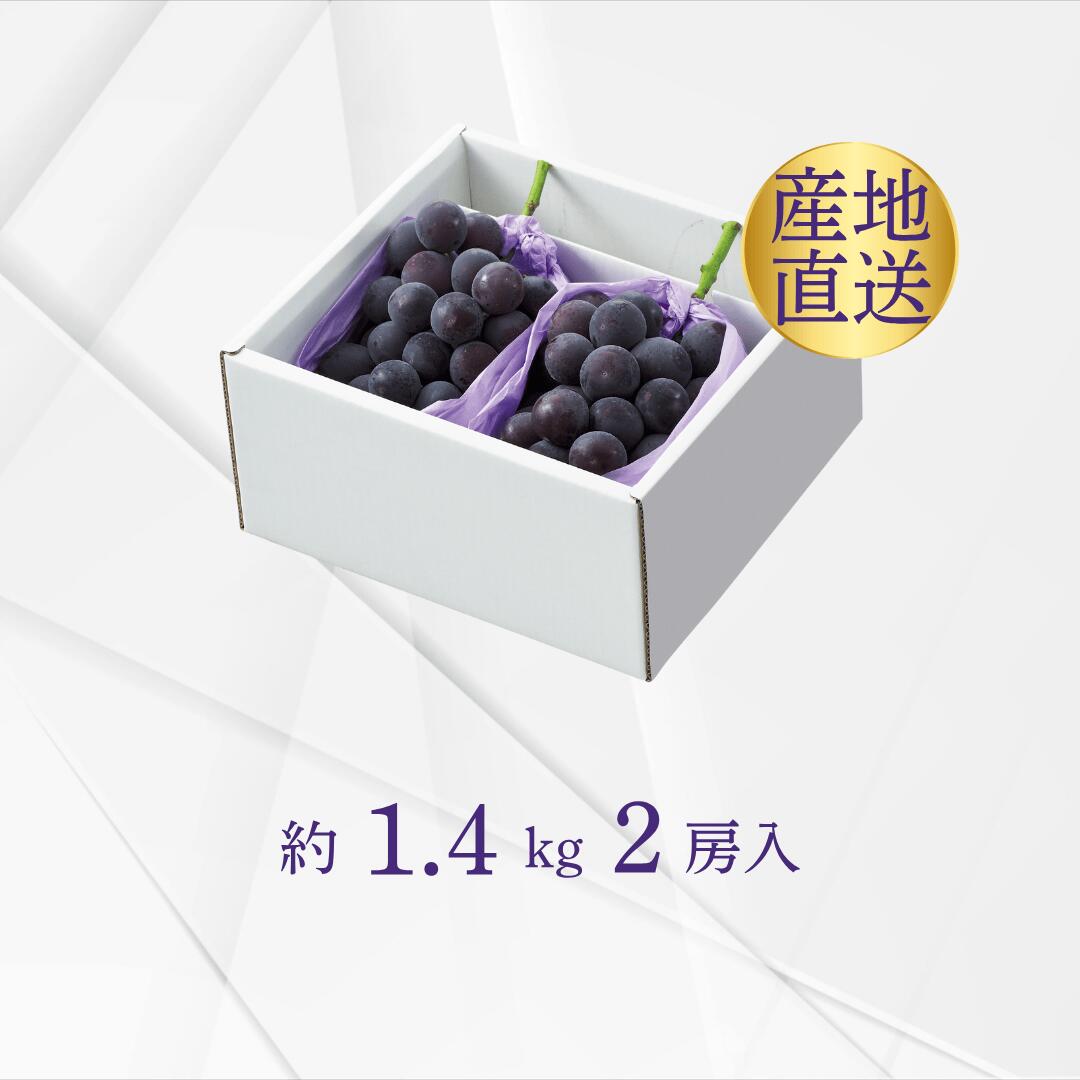梱包イメージ